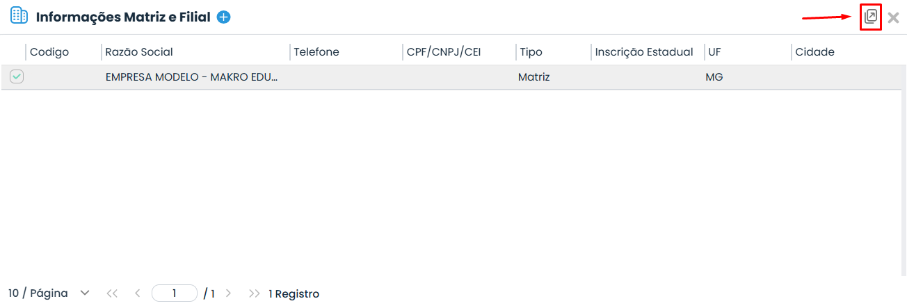 Tela de Informações Matriz e Filial no Sistema Makro, com destaque para o ícone que permite acessar os dados relacionados ao Cadastro de Identificadores.