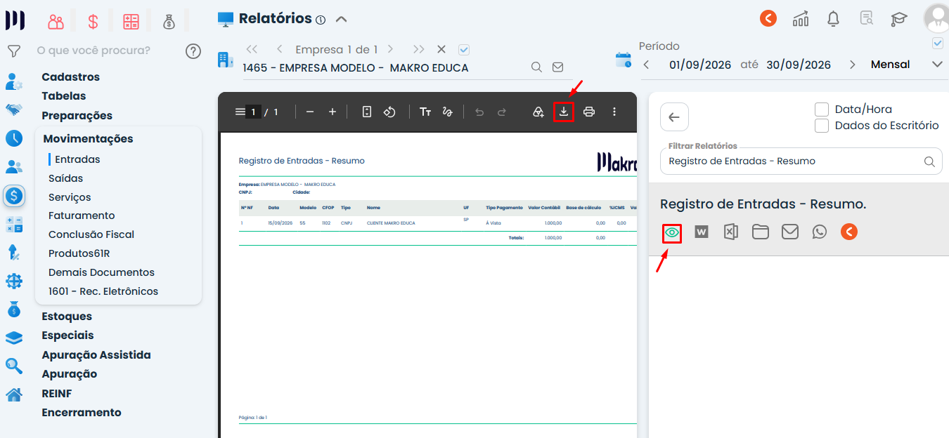 Tela do Sistema Contábil Makro com prévia de Registro de Entradas - Resumo, destacando o ícone de visualização e a opção de baixar o relatório.
